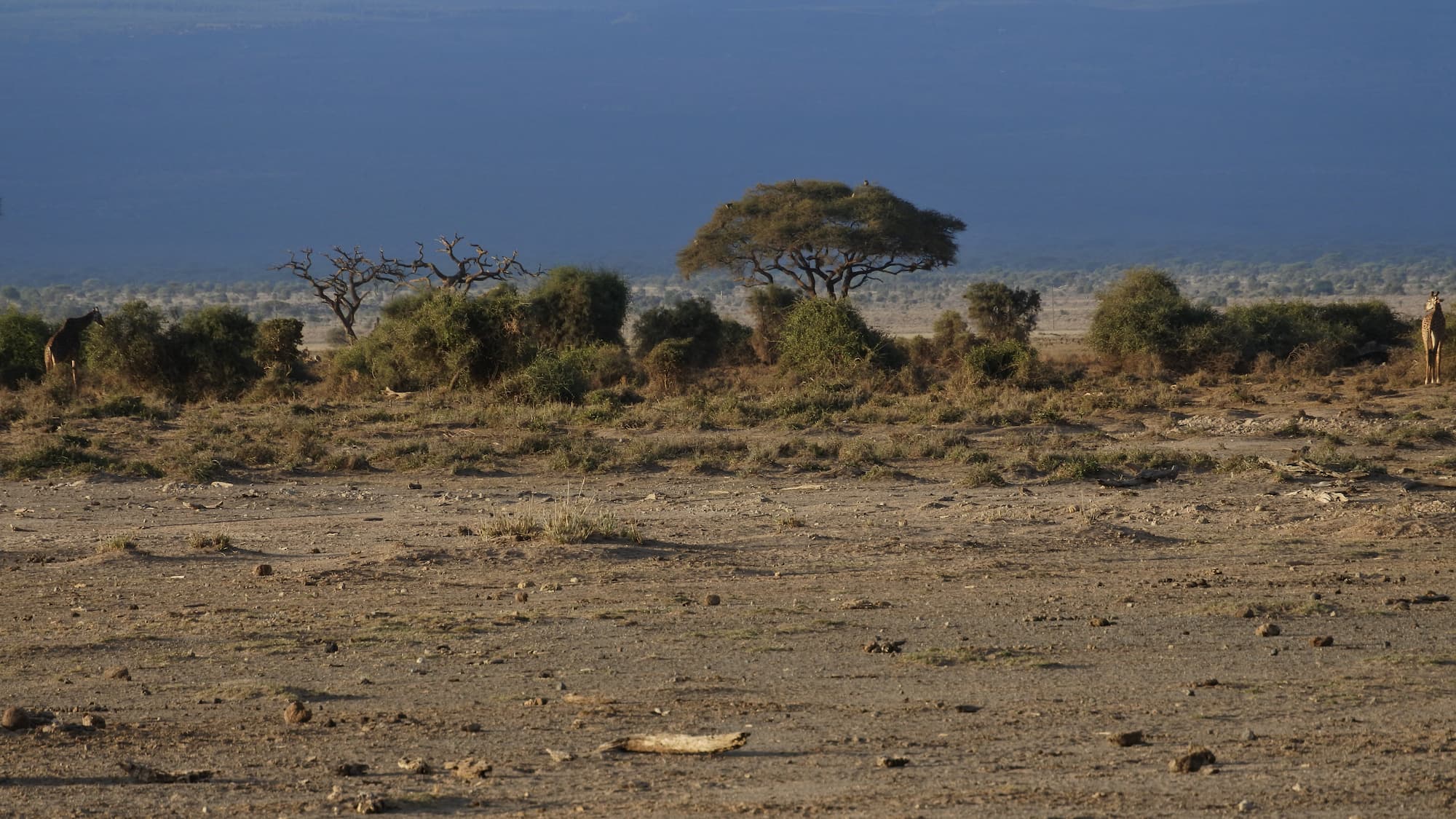 Kenyan landscape