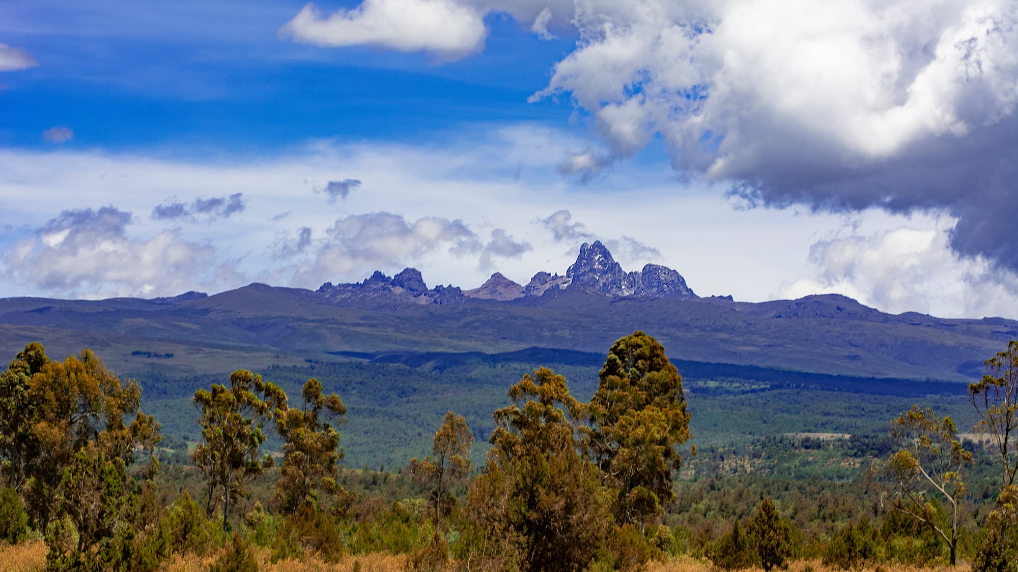 The slopes of Mt. Kenya